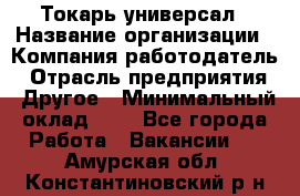 Токарь-универсал › Название организации ­ Компания-работодатель › Отрасль предприятия ­ Другое › Минимальный оклад ­ 1 - Все города Работа » Вакансии   . Амурская обл.,Константиновский р-н